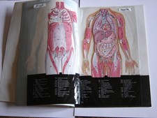 Atlas du Corps Humain en