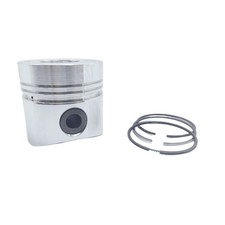 PISTON + PISTON RING SET (1.00