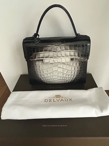 Sac delvaux jamais porté - sac,