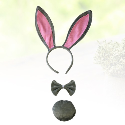 Pcs lapin deguisement - pcs,