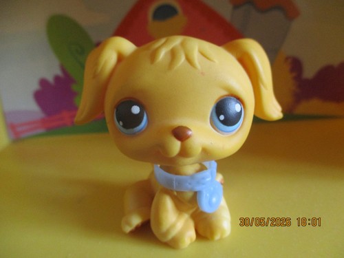 Petshop chien golden retriever - petshop,