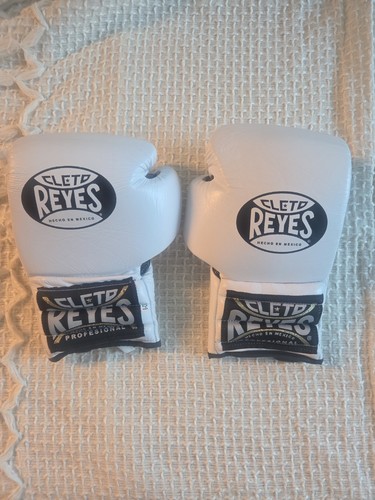 Cleto reyes sparring - cleto,