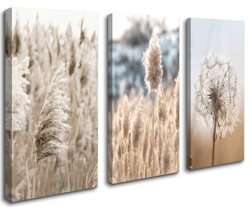 Images sur toile 120 - x, 80