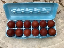 12 Dark Black Copper Marans