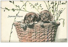 DOGS. No. 3282.TEKELS DOGS IN A BASKET.HAPPY EASTER