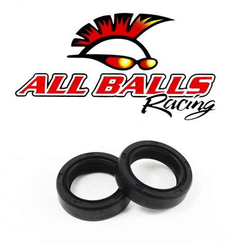 All balls racing fork seal - balls,