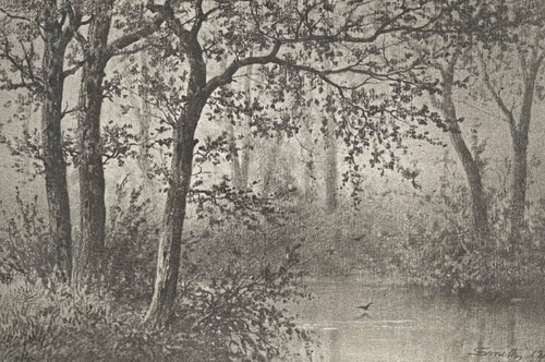 école barbizon pantotypie - École, de