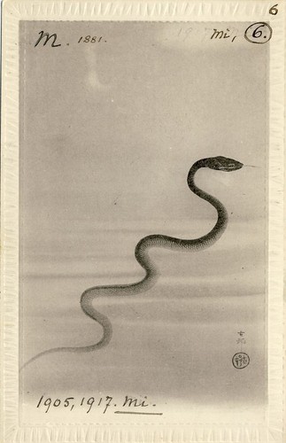 Cpa carte postale - cpa,