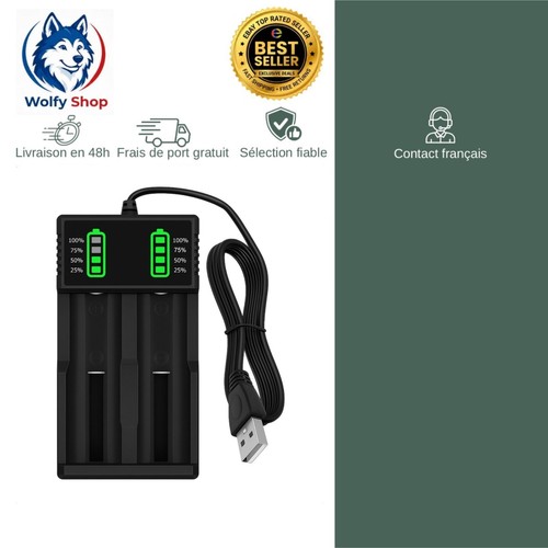 Chargeur batterie universel - chargeur,