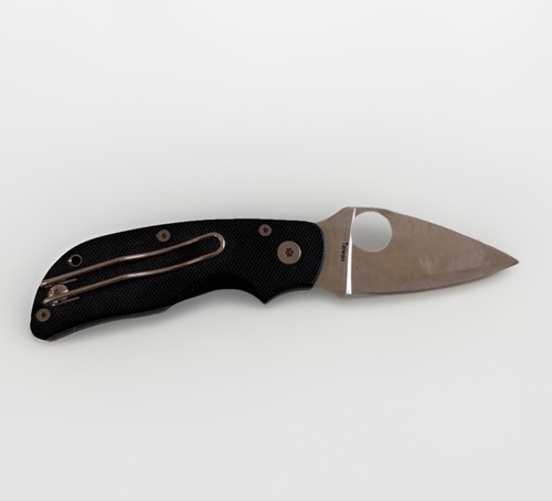 Spyderco linerlock stainless - linerlock,