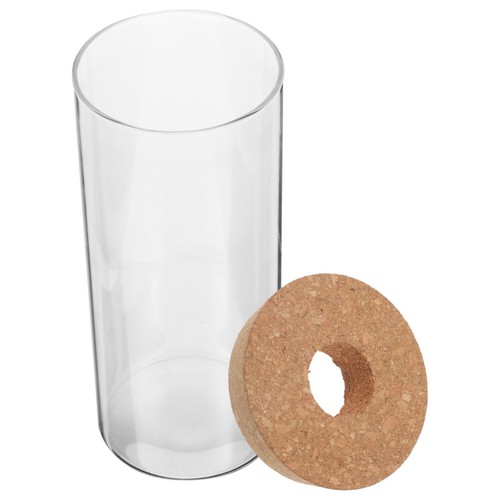 Vase bouteille terrarium - ,