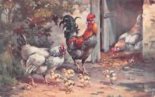 Postcard fantasy / animals of the lower court / chickens / rooster