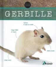Gerbille - Madlen Wendt -