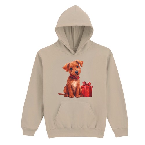 Pull capuche pour - pull, à