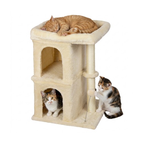 Arbre chat - à,