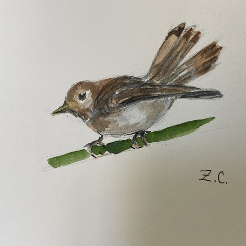 Dessin aquarelle rossignol
