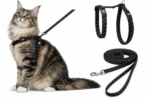 Harnais pour chat - harnais, grand