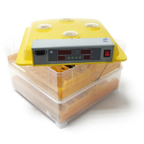 Couveuse automatique oeufs - couveuse,