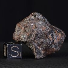 Météorite NWA 15738 de 40,22