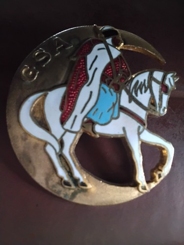 Ancien insigne militaire - ancien,