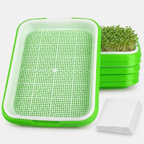 Plateaux germination - 6,