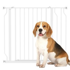 Barrière de sécurité Chien