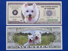 Westies Terrier ~ Amusant