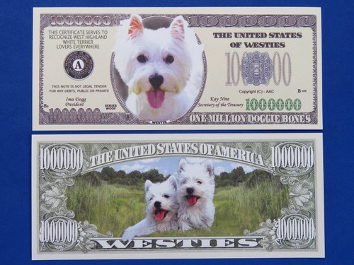 Westies terrier amusant - westies,