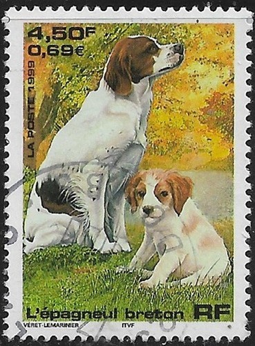 France oblitéré 1999 chien - france,