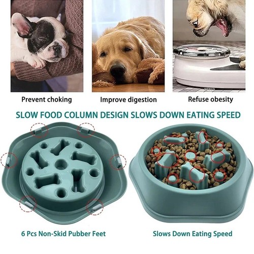 Slow feeder dog bowl - slow,