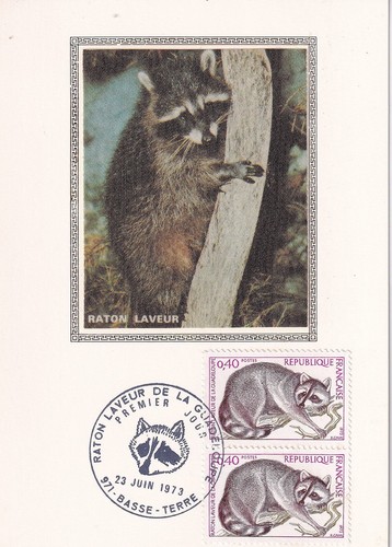 Carte 1er jour - , nature