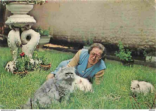 Carte postale animaux - postale,