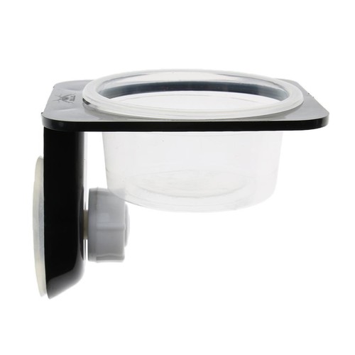 Tortue bol aliment - tortue,