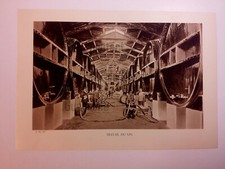 TRAVAIL DU VIN CAVE DE