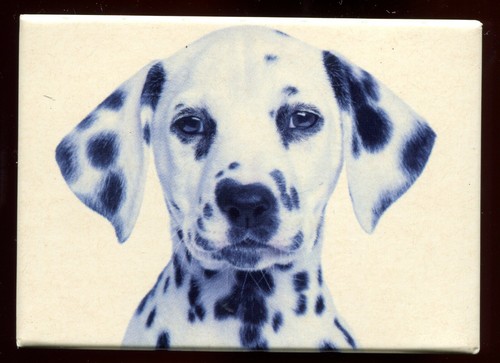 Magnet chien chiot - ,