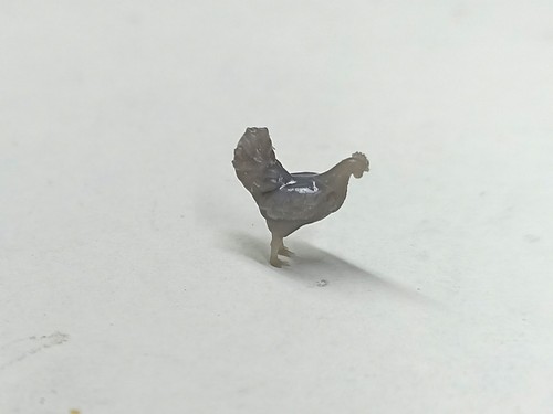 Diorama poules h - -, h.