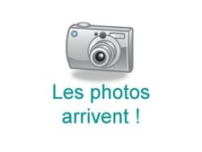 SAC à MAIN - N° 3 -