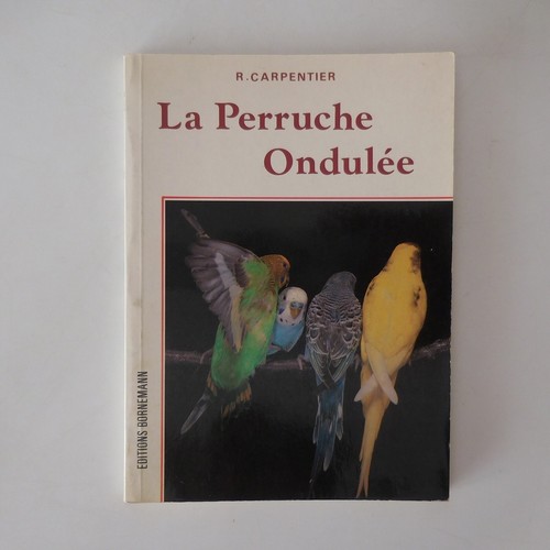 N9455 perruche ondulée - perruche,
