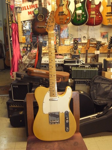 Fender 1975 telecaster blonde - telecaster,