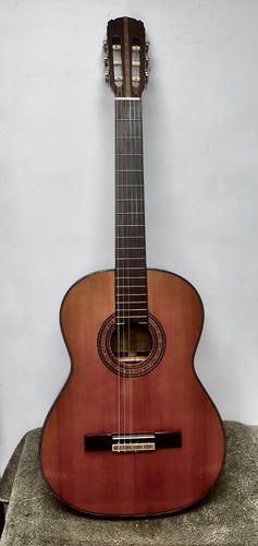 Rare 1969 greco - 1969,