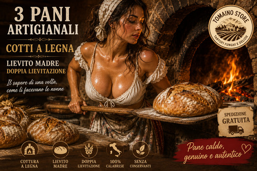 Pain maison cuit four à - pain,
