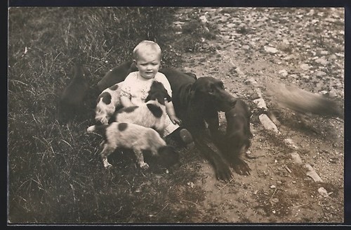 Carte postale photo enfant - carte,