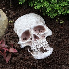 Statue de crâne humain