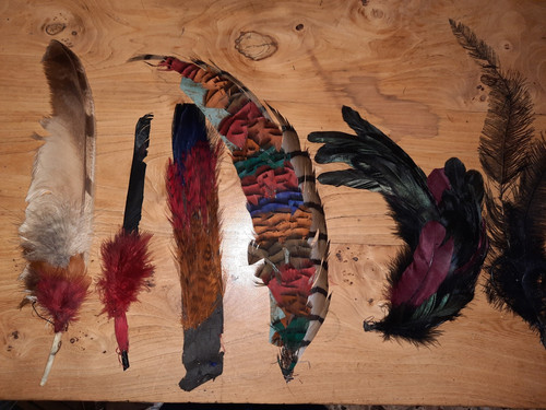 Application ancienne oiseaux - 6,