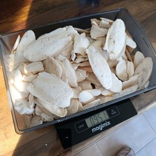 os de seiche 1 kg.  12~20 cm