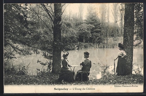 Cpa seignelay étang - seignelay,, du