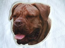 GRAND AUTOCOLLANT - motif