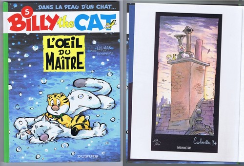 Billy the cat desberg - billy,