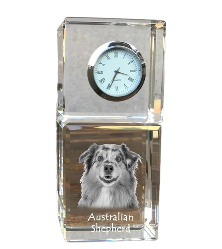 Chien berger australien - chien,