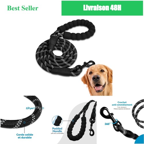 Edipets laisse chien - laisse,